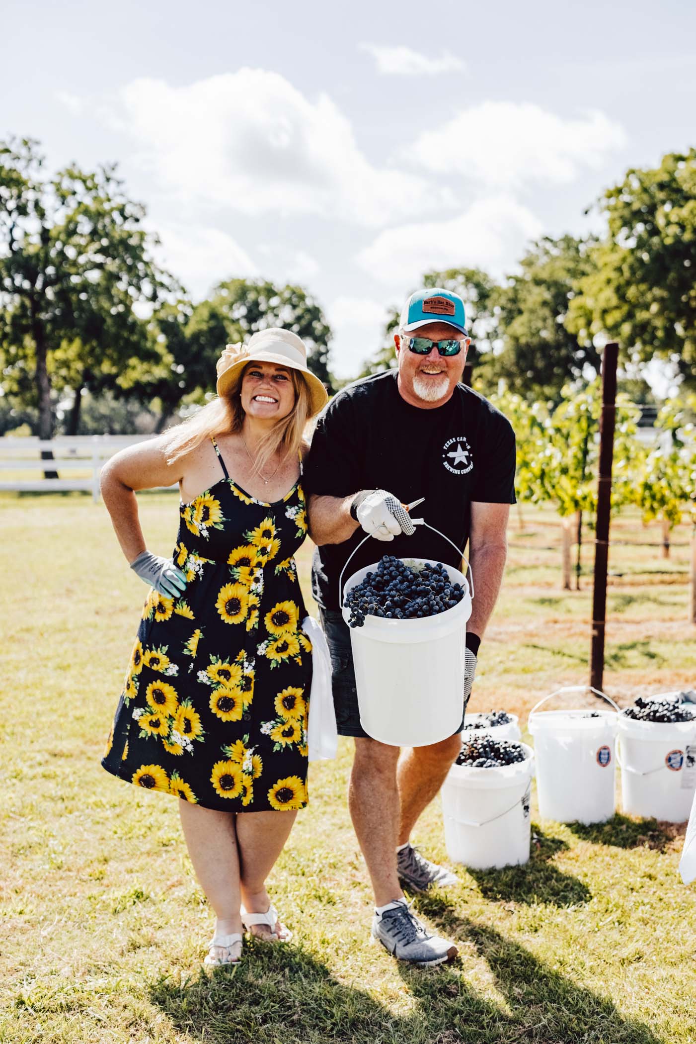 Grape Stomp Fredericksburg Signor Vineyards