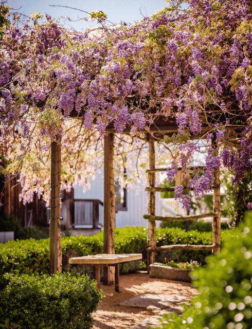 Untitled design (2) copy